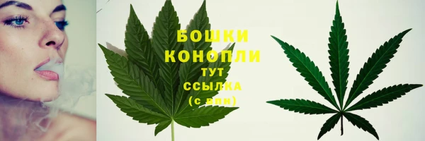 ECSTASY Каменка