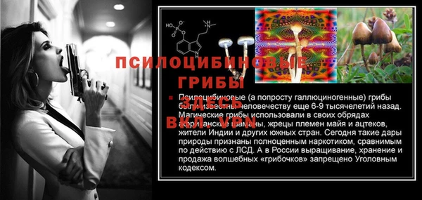 дживик Каменск-Шахтинский