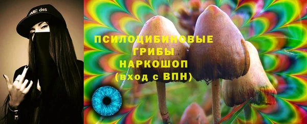 твердый Касимов