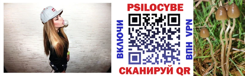 Псилоцибиновые грибы мухоморы  Купить закладки  Ивангород 