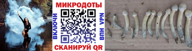 Галлюциногенные грибы GOLDEN TEACHER Ивангород